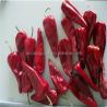 China Dehydrated Red Bullet Chilli Pods Cayenne Pepper 25000SHU Without Stem wholesale