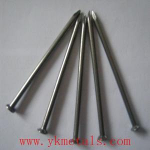 China Hot selling! Common Nails supplier