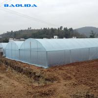 China Baolida Multi Span Plastic Film Greenhouses With Hot Dipped Galvanized Frame on sale