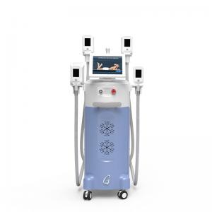 China 2018 factory directly sell best cryolipolysis machine fat freezing for dirtributor supplier