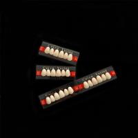 China CE ISO Heraeus Dental Acrylic Resin Teeth Composite Dentadura Anteriors Upper (6x1)x16 High Strength Teeth Form 1 on sale