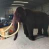China Size Custom Realistic Animatronic Animals Mammoth Model Adult Age wholesale