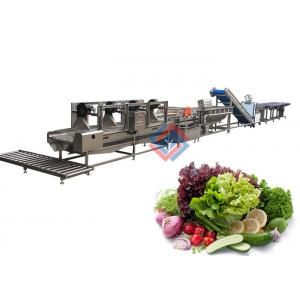China Salad Production Line Fruit And Vegetable Processing Washing Cutting Line supplier