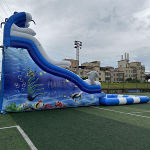 China 商業用 巨大 膨張式 ダブルスライド 水池付き 膨張式水スライド 城 夏の楽しみのために wholesale