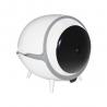 China WiFi Cat Smart Toilet 6W DC12V Quick Cleaning No Scooping SAFETY wholesale