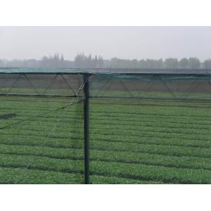 China 250 Meters 100% HDPE Insect Mesh Netting For Vegetable Greenhouse Agricultural supplier