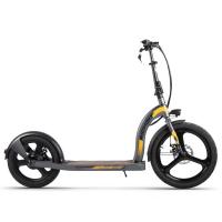 China 36v 10Ah 2 Passenger Electric Scooter Cycle Lightweight Electric Mobility Scooter on sale