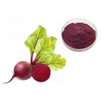 China Natural Pigment Anti Tumor Red Beetroot Vegetable Extract Powder on sale