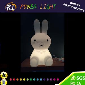 China LED Gift Light Home Decoration Color Changing LED Light Toy supplier