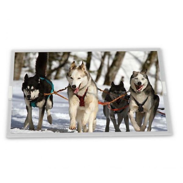 G200HJJ-EN 19.5 Inch 1920*1080 Lcd Panel Modules