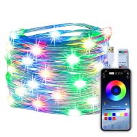 China Smart Control Colorful RGBIC Fairy Lights 5m 10m 20m String Light Indoor on sale