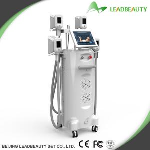 China Professional ! Freeze Cryolipolysis Anti Cellulite Machine supplier