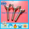 China Steel Wing nut,Wing nuts, Zinc plated butterfly lock wing nut,Stainless steel wing nuts,Brass wing nuts,Copper wing nuts wholesale