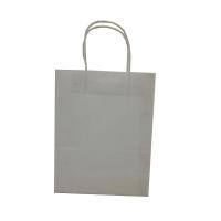 China Unisex Handle Paper Bag , Rectangle Small Kraft Bags With Handles on sale