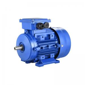 China 7.5 Hp 7 Hp 3 Phase Asynchronous Electric Motor 5.5kw 400v 50hz IP55 supplier