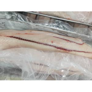 2kg Sail Fish IQF Freezing Seafood HGT Frozen Marlin bone