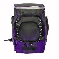 China OEM ODM Outdoor Sports Backpack 100 % Polyester Softball Gear Bag on sale