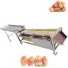 Multifunctional Diameter Sorting Machine for Sorting Fruits and Vegetables Efficiently