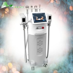 China Cryolipol populaire 2 têtes de cryo 1 rf monopolaire affermissant la tête 1 rf à multiniveaux affermissant la tête supplier