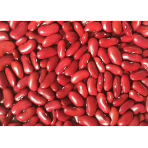 China Red Kidney Beans Exported To Yemen supplier