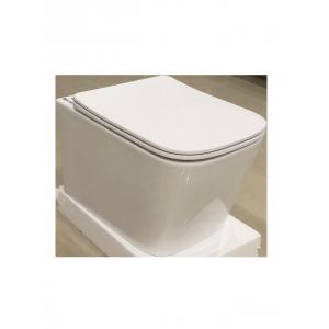 China factory wholesale rimless commode wall hang hiddden cistern wc toilet bathroom toilet