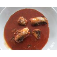 China Competitive Price Delicious Fresh Material Sardines Fish Canned in Tomato Sauce on sale