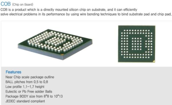 ENEPIG ENIG Soft Gold Package Substrate Customize 1-6 Layer BT Substrate
