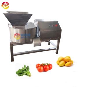 China Commercial Fruit and Vegetable Crusher Machine for High Volume Production supplier