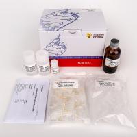 China RNase-Free Spin Column General RNA Extraction Kit R1051 50 Preps on sale