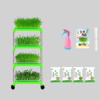 China PE Coated Seedling Tray Stand Mung Bean Sprouting Tray Environment friendly on sale