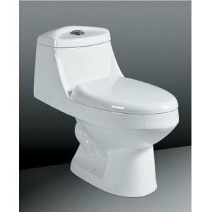 China Floor Mounted Ceramic Toilet Sanitary Ware , Dual Flush One-Piece Elongated Toilet supplier