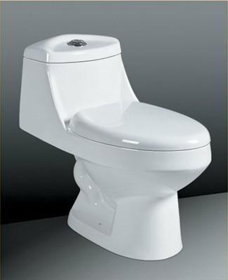 Floor Mounted Ceramic Toilet Sanitary Ware , Dual Flush One-Piece Elongated