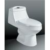 Floor Mounted Ceramic Toilet Sanitary Ware , Dual Flush One-Piece Elongated