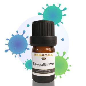 El aceite esencial del difusor del aroma 500ML desinfecta el aceite esencial de la hierbabuena