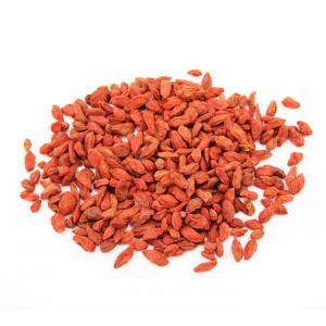 China Certified FDA Import organic dried goji berry high quality dried fruits goji berry bulk for sale supplier