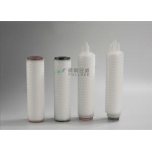 Pleated PES Membrane Filter Cartridge , RO Water Filter Cartridge 0.22um 10"