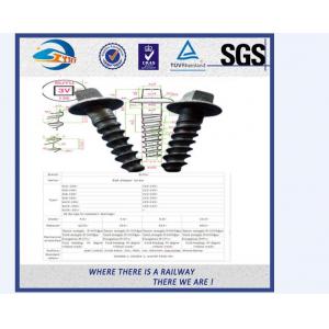 China Black Square Railway Wood Screw Spikes Sleeper Screws With High Yield Strength supplier