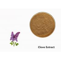 China Brown Clove Flower Plant Extract Powder For Food Additive on sale