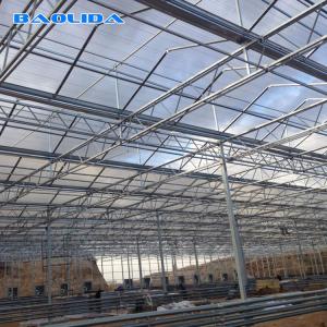 China Multi Span Venlo Type Greenhouse / PC Polyethylene Film Greenhouse Sides Ventilation supplier