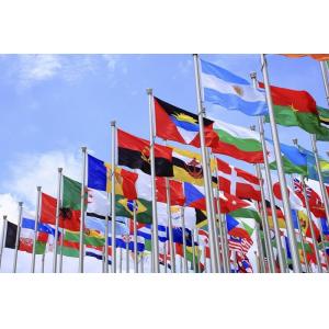 China Wonderful All World Countries Flags 3X5FT 100 Polyester Material supplier