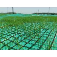China Nonwoven and Geogrid Reinforced Coconut Coir Mat for Vegetation Establishment on sale