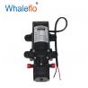 Whaleflo 2 Diaphragm Pumps 24 VOLTS 80psi 4.0LPM Agriculture Power Sprayer