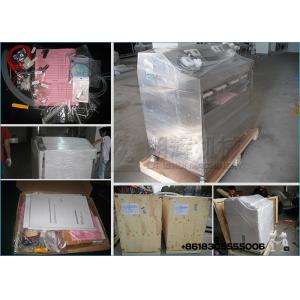 Mayonnaise Filling Machine and Packaging Machine for Pouch