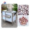 China Garlic splitting machine minced garlic processing production Line wholesale