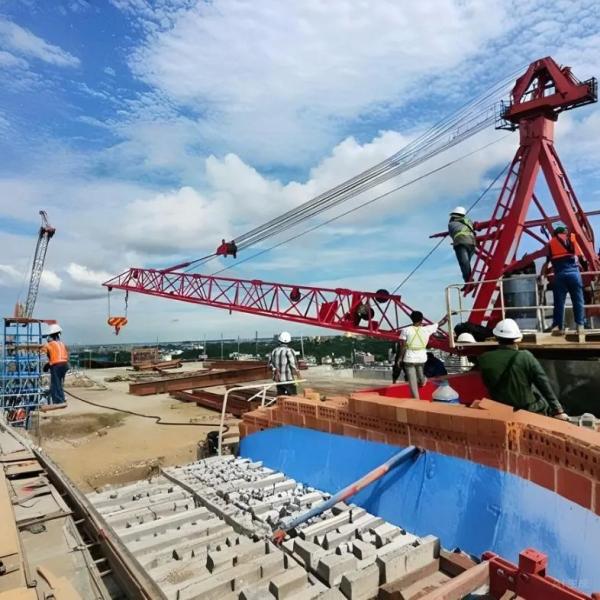 Hot Sell Zoomlion The Second Used Construction Building Tower Crane Qtz100 6013 8t with CE