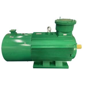 YBBP Series Explosion-Proof Motor Three Phase Asynchronous Motor