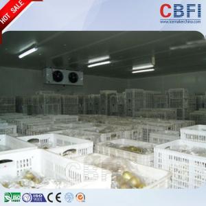 China CBFI 500 Tons Fruits  Vegetables Freezer Cold Room With  Compressor Unit supplier