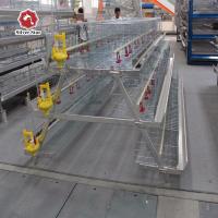 China ISO9001 Baby Chicken Cage For 1 Day Old Chick Automatic Feeding System on sale