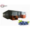 China Blueberry Hot Air Drying Fruit Dehydration Equipment CE Certification wholesale