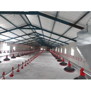 H Section Steel Commercial Chicken House Prefabricated Steel Structure